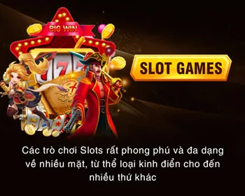 Hình ảnh các tính năng bonus
