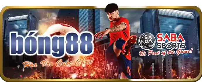 Các cấp độ đối tác hi889 win